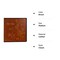Photo Album Book, Family Album, Leather Cover, Holds 3x5, 4x6, 5x7, 6x8, 8x10 Photos (Brown)